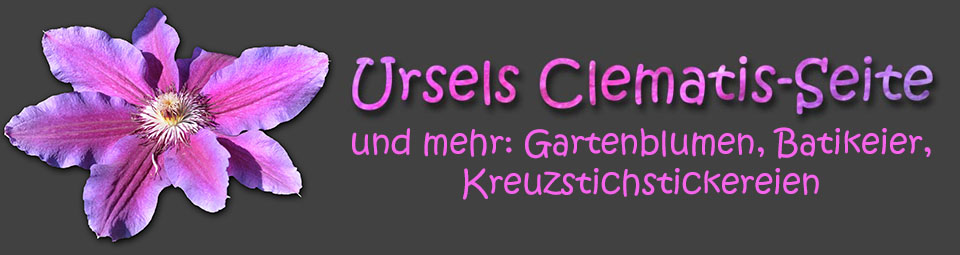 Ursels Clematisseite